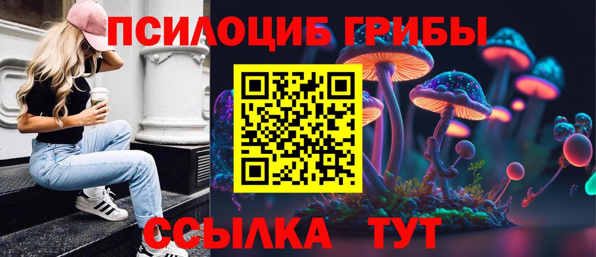 Туапсе  Галлюциногенные грибы Magic Shrooms  Вход с VPN 